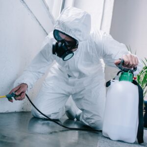 pest control worker spraying pesticides on floor at home