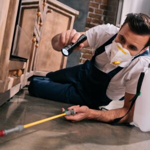 pest control worker spraying pesticides under cabinet in kitchen and using flashlight